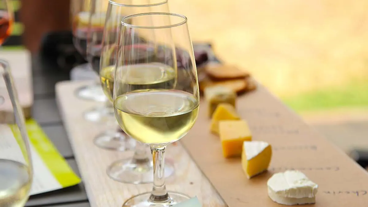 Glasses of white and red wine lined up with pieces of cheese in front. The names of them written next to the cheese. 