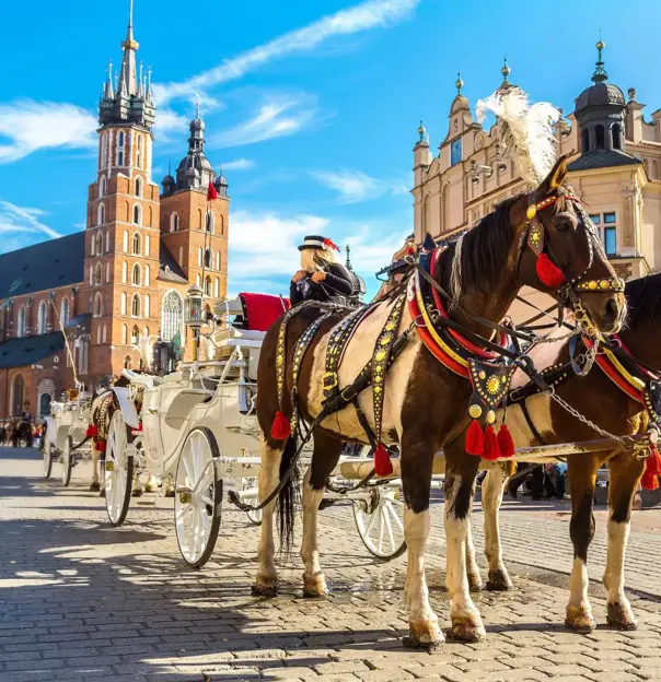 Traditional horse and carriage in Kraków, Poland, standing near St Mary’s Church in the Market Square, with the church’s gothic towers and surrounding historic buildings visible