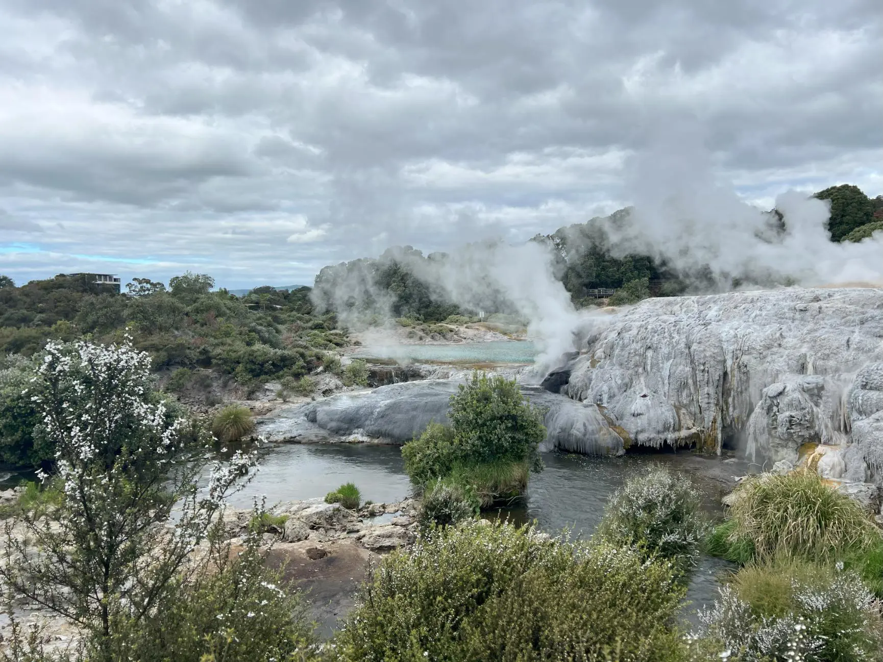Pohutu Geyser, Rotorua, New Zealand