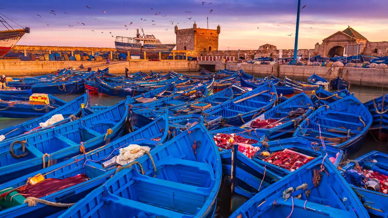 Boats in Essaouira port 