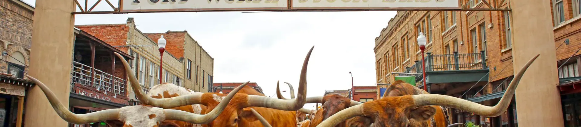 A group of longhorn cattle walking beneath the Fort Worth Stock Yards sign in Texas