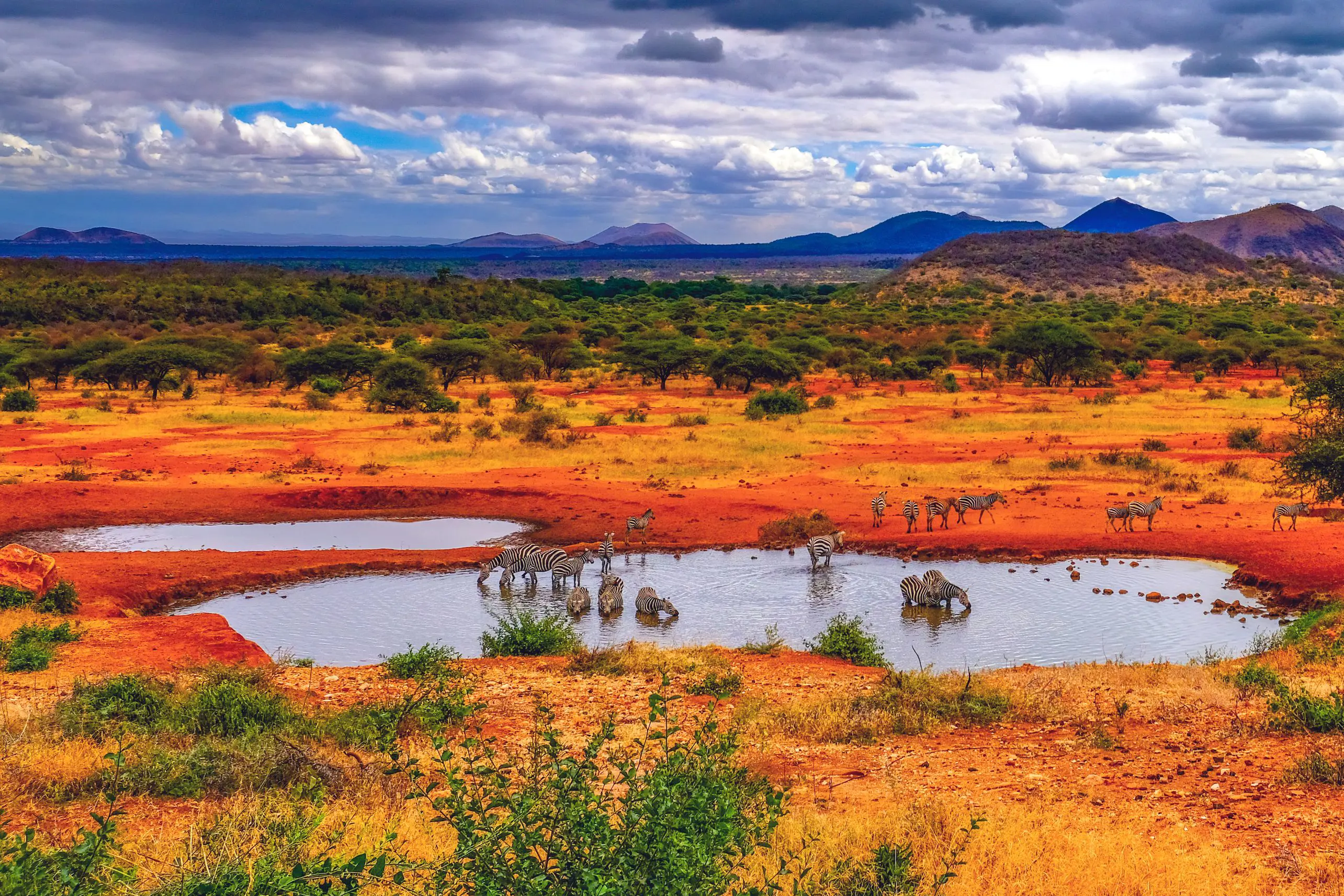 Volcanic Landscape Of Tsavo East National Park