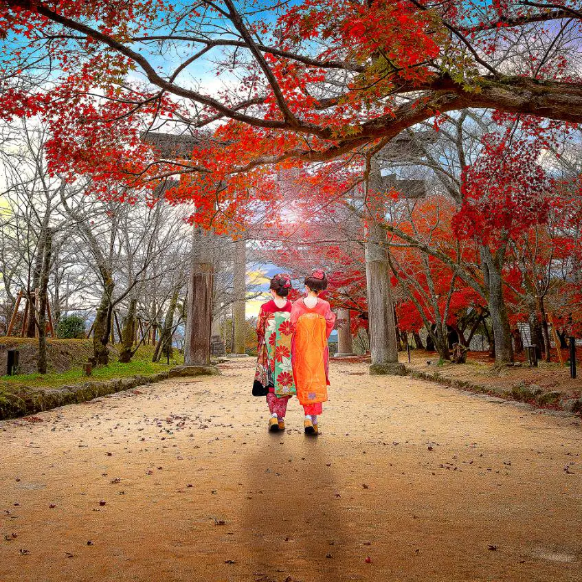 Two women in traditional kimono walk beneath vibrant autumn leaves toward a torii gate at Homangu Kamado Shrine in Fukuoka, Japan