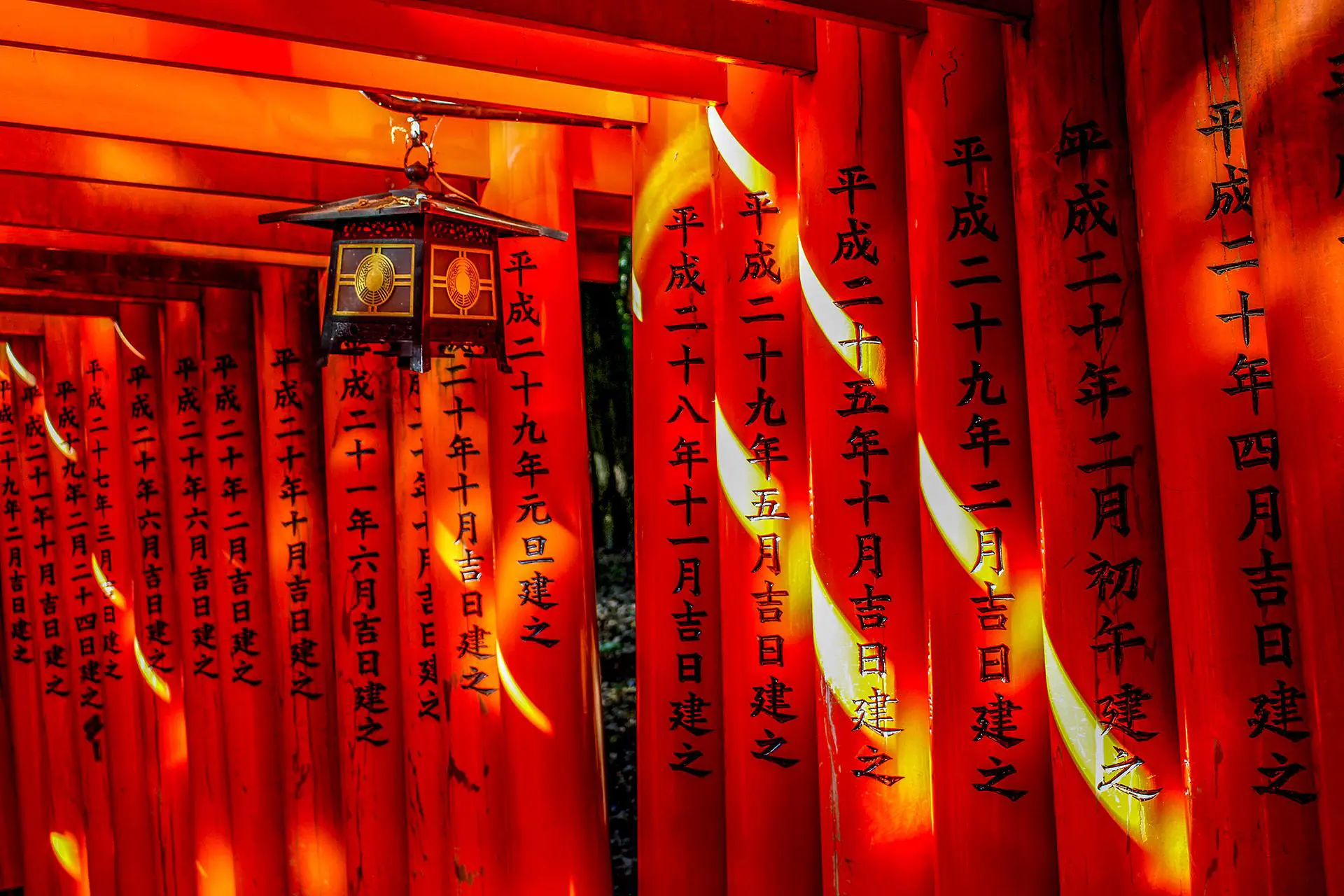 Bright red torii gates forming a tunnel at Fushimi Inari Shrine in Kyoto, Japan, with black kanji inscriptions and soft sunlight filtering through