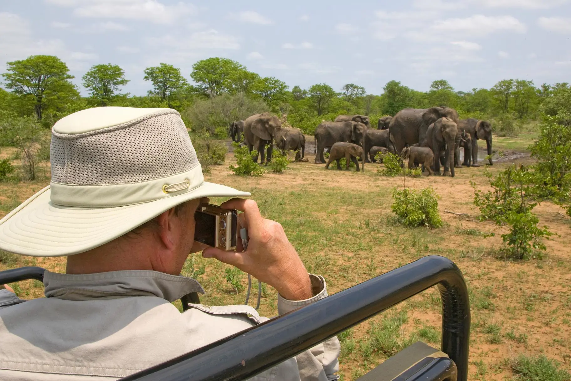 Gettyimages 93425715 South Africa Safari Elephant EDIT