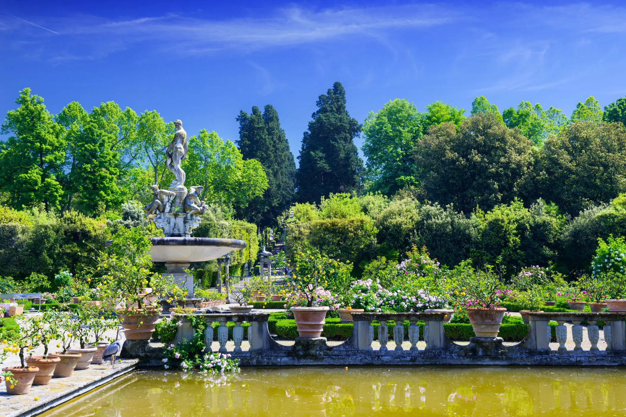 Boboli Gardens, Florence, showing a pond and a fountain