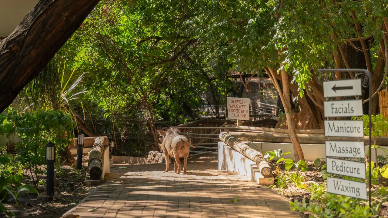 Chobe Safari Lodge, Spa