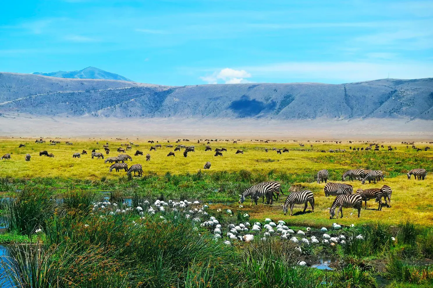  Ngorongoro Crater, Tanzania