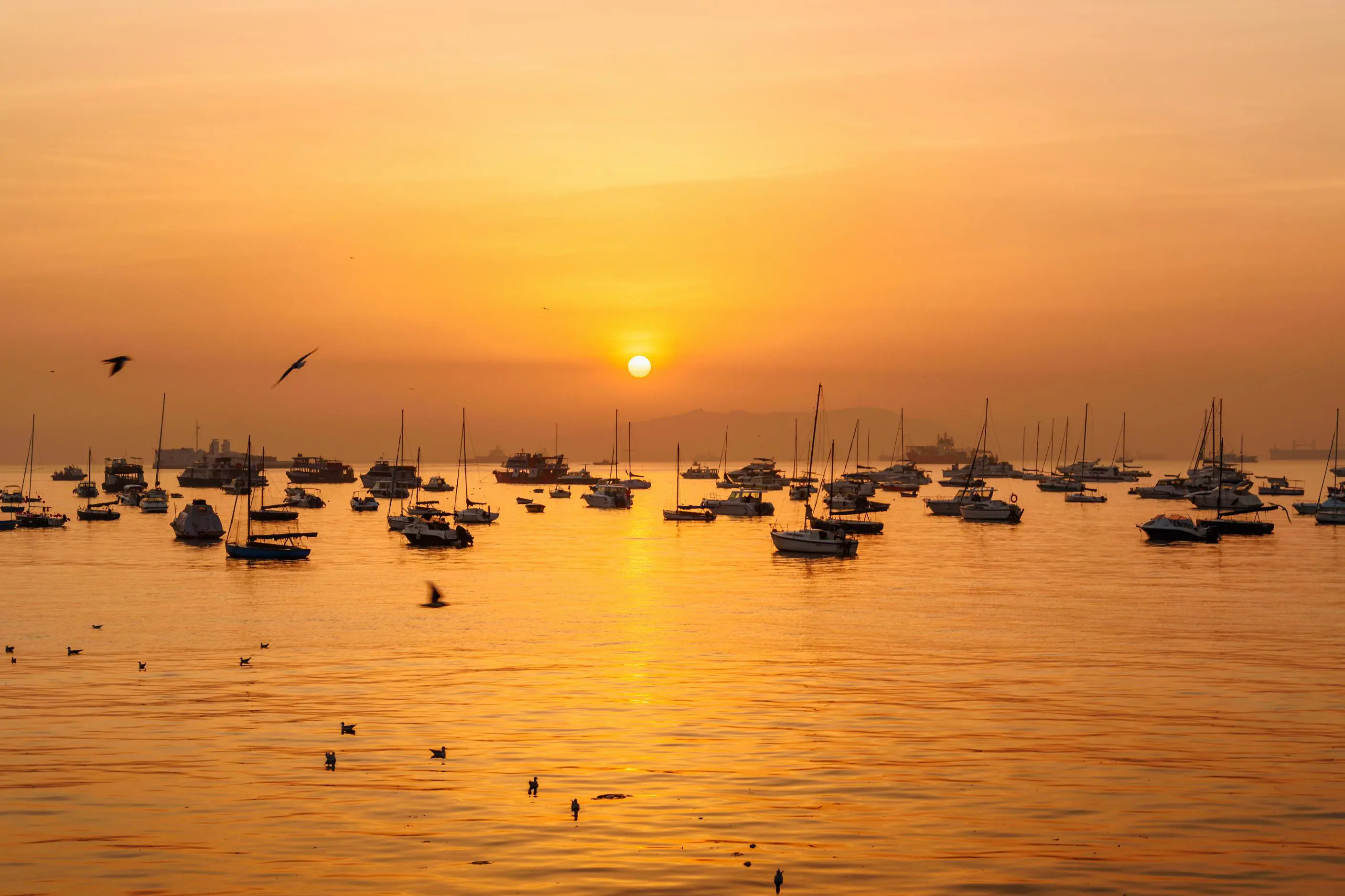 Sunset over Mumbai Harbour, with sailboats scattered across the shimmering water
