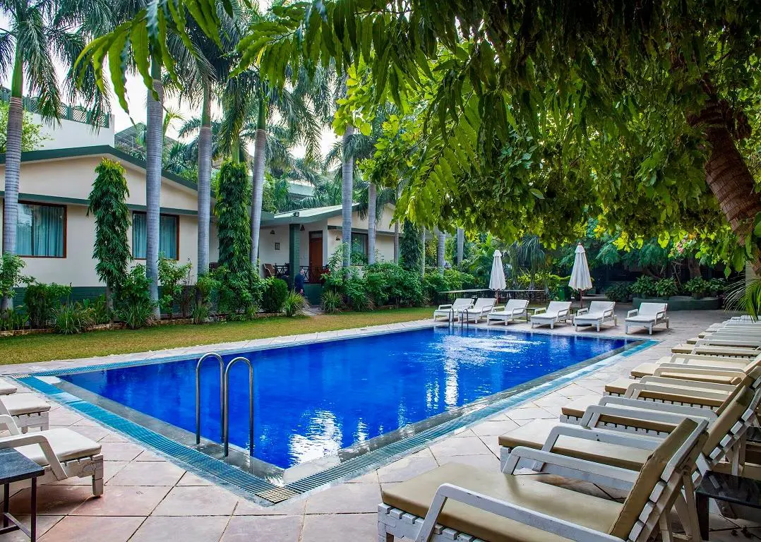 Outdoor swimming pool at Ranthambore Regency surrounded by palm trees and sun loungers in a peaceful garden setting