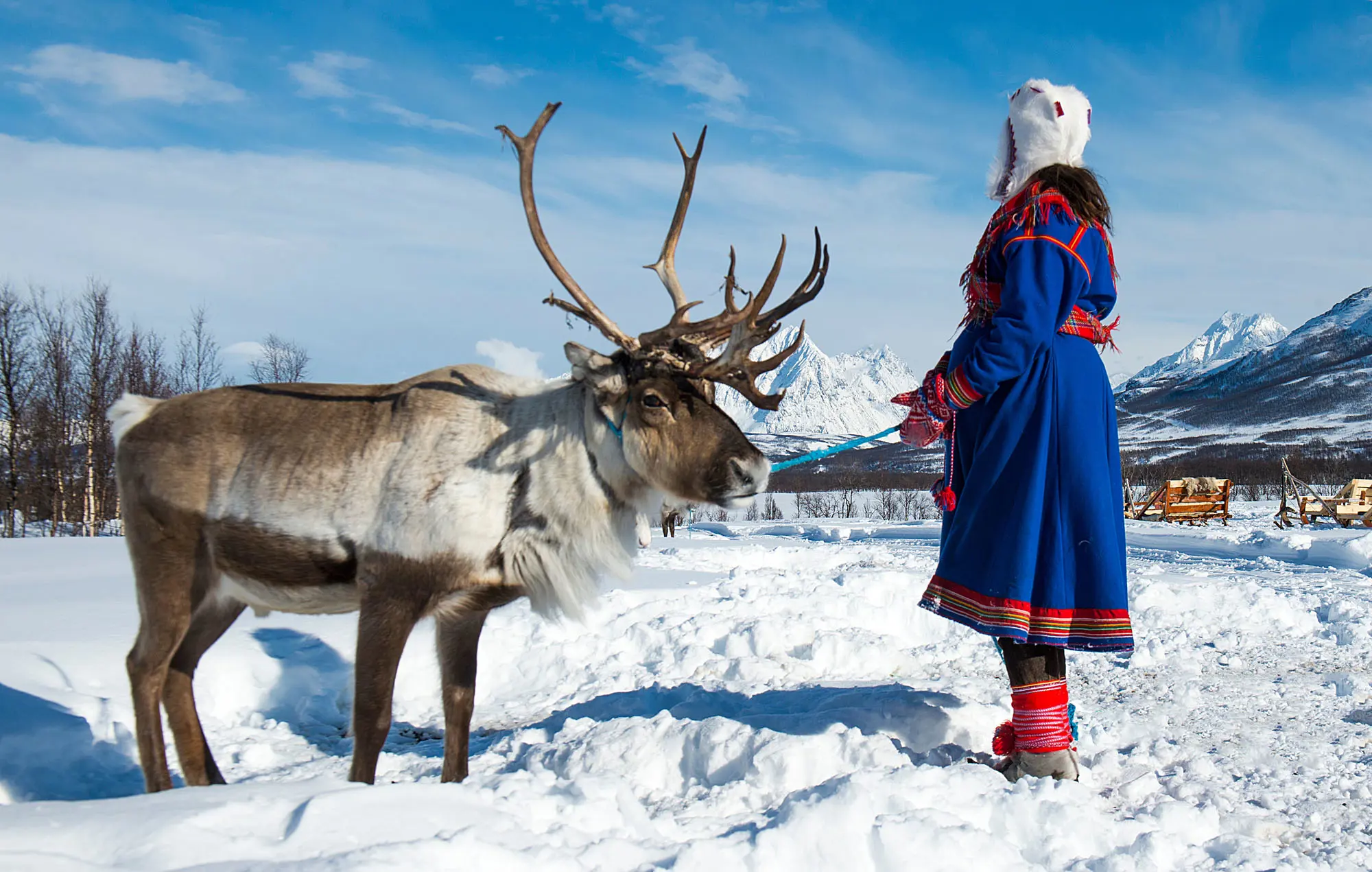 A lady dressed in traditional Norwegian clothes with a reindeer, standing in the snow