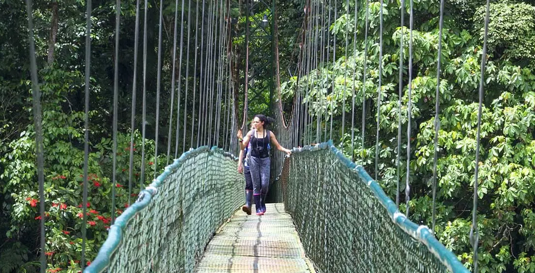 Selva Verde Ecolodge & Rainforest Reserve Rope Bridge