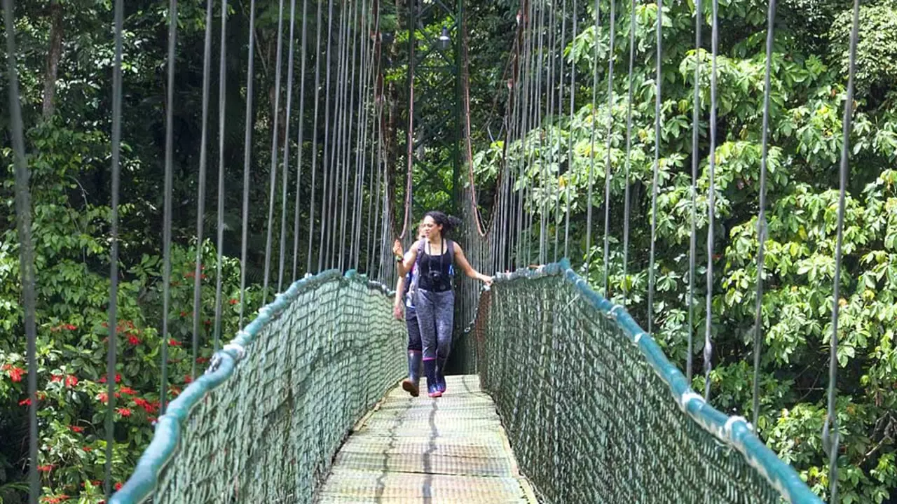 Selva Verde Lodge and Reserve, hanging bridge