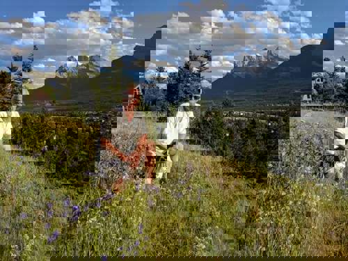 Staff Stories: our tour managers reveal their wildest travel tales