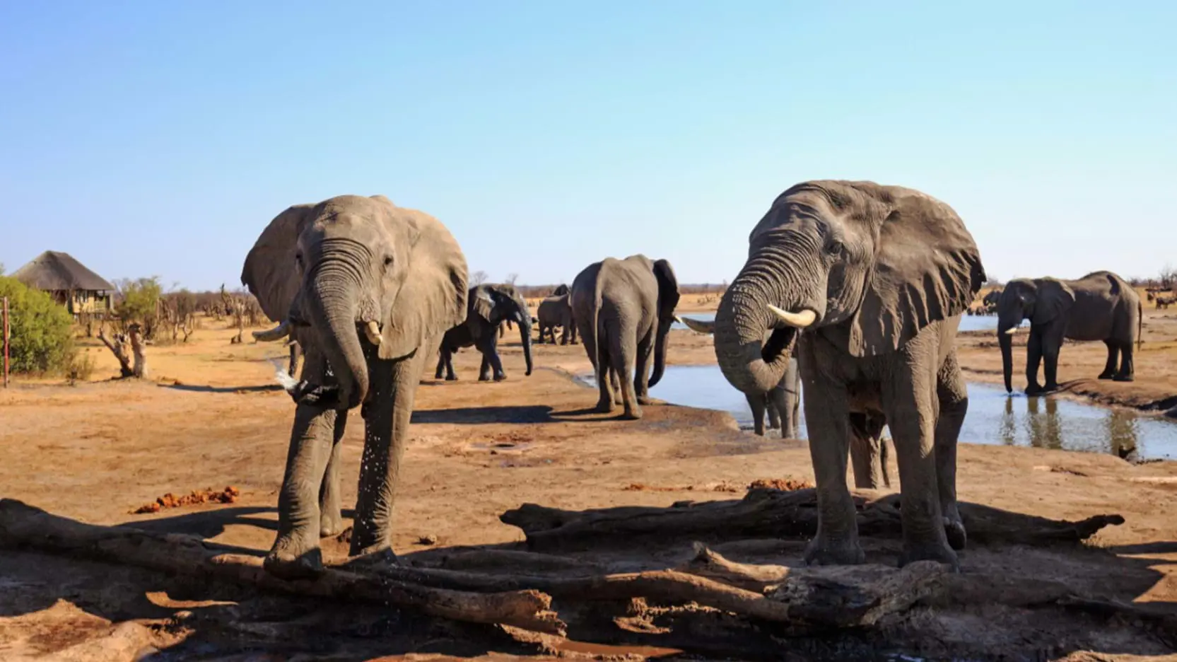 Shutterstock 1323461447