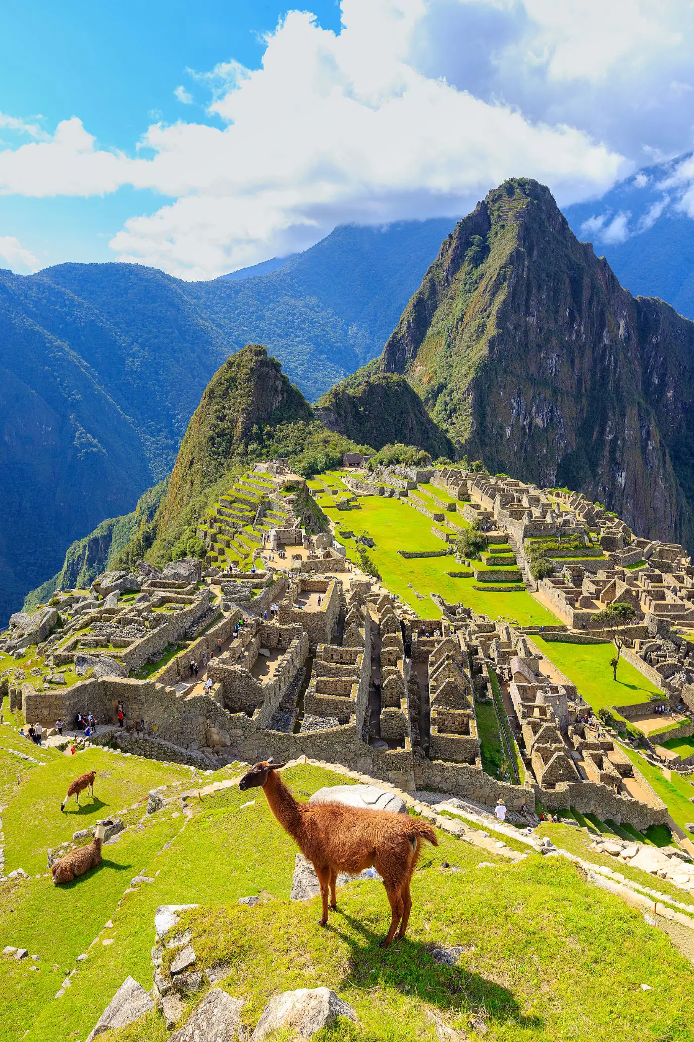Machu Picchu