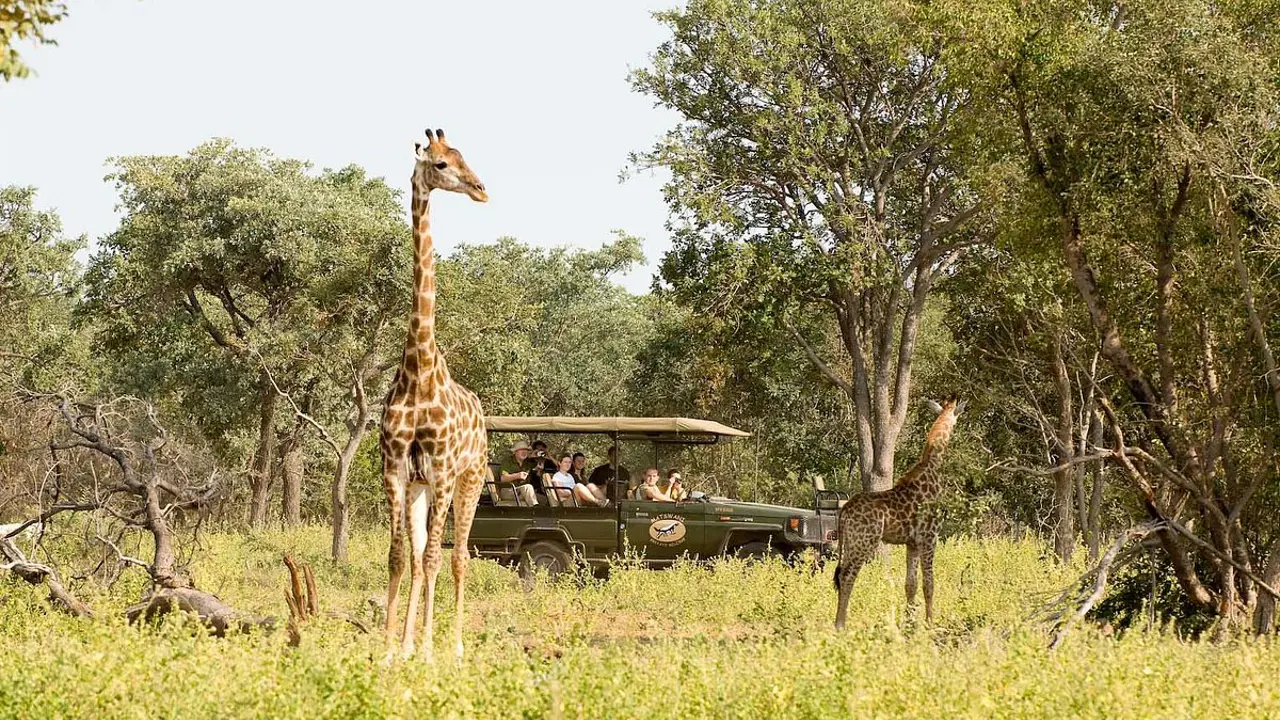 Sebatana Rhino Lodge, game drive