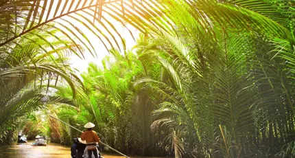 Small wooden boats glide through a palm-lined canal off the Mekong River in Thailand, with a person in a conical hat steering under filtered sunlight