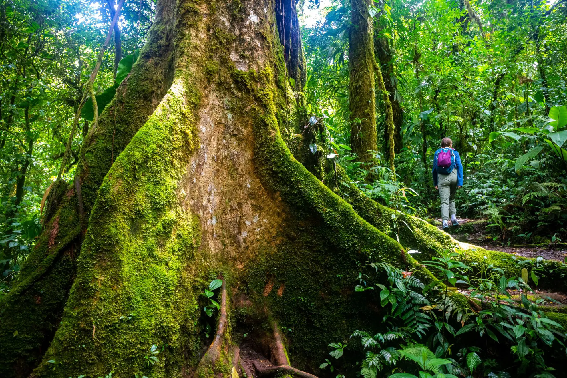 Hiking in Costa Rica 