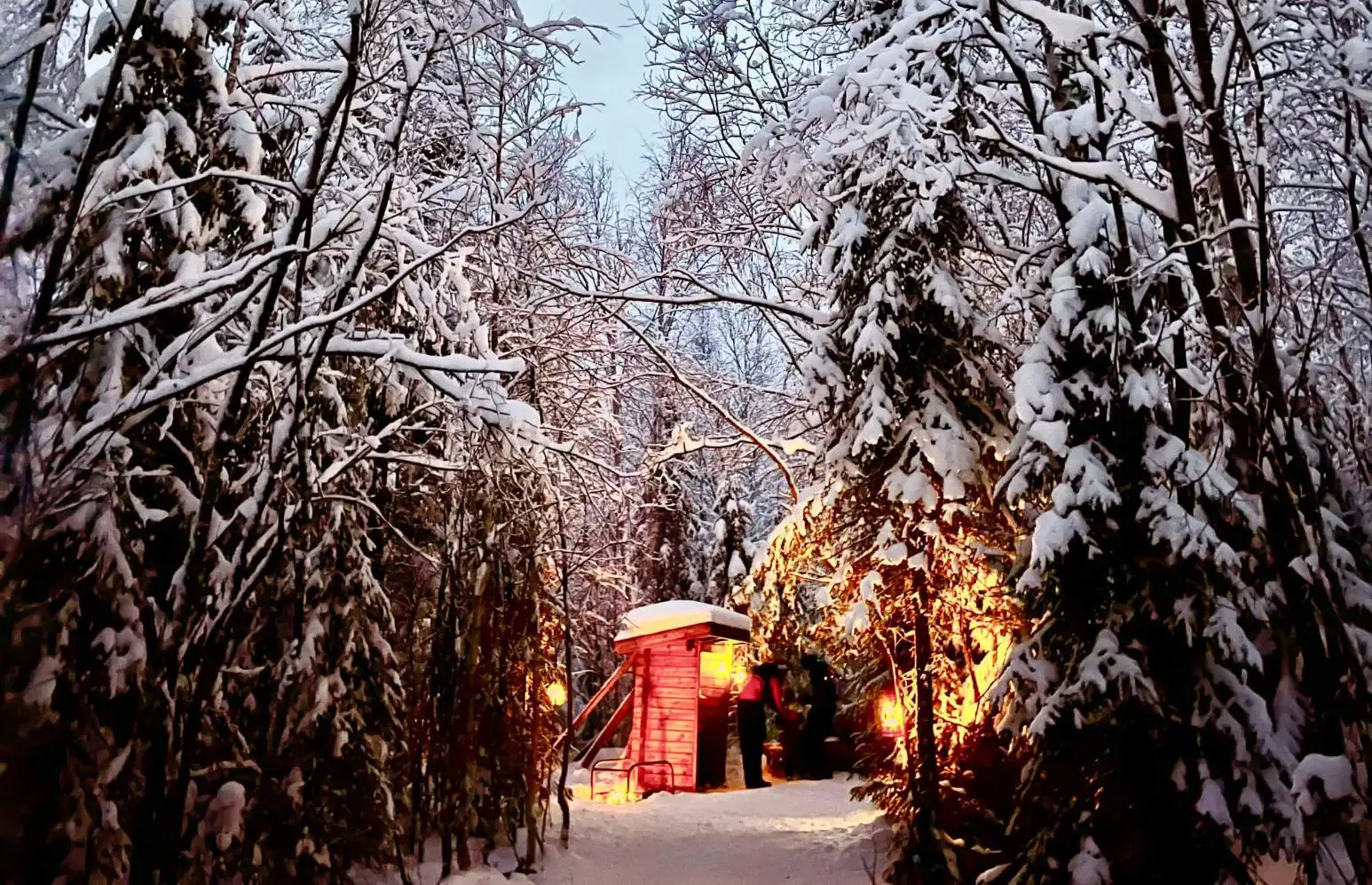 A winter scene with snow-covered trees on either side of a forest path. Warm orange lights illuminate a small wooden cabin, creating a cosy glow amid the snow