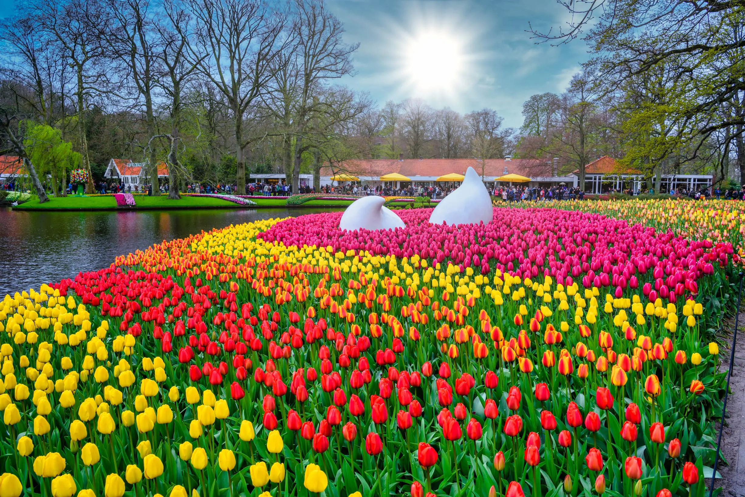 Drop monument with colorful daffodils and tulips, Keukenhof Park, Lisse, Netherlands