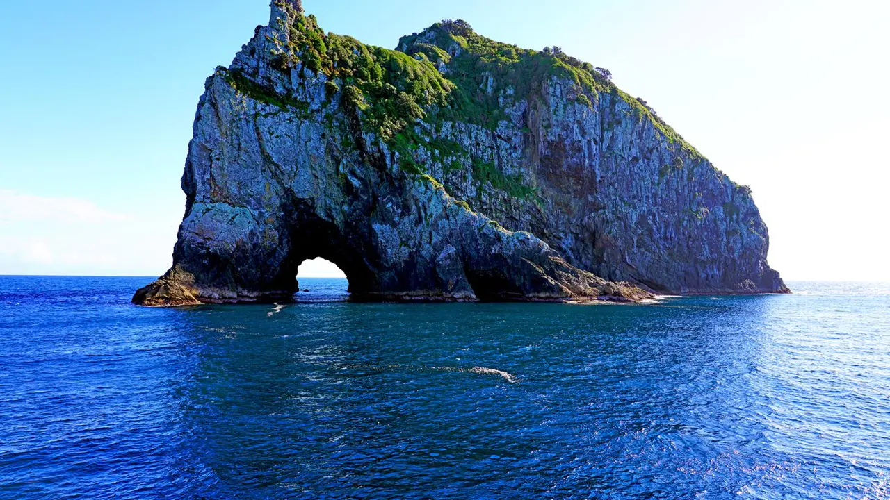 Hole in the Rock, Bay Of Islands, New Zealand