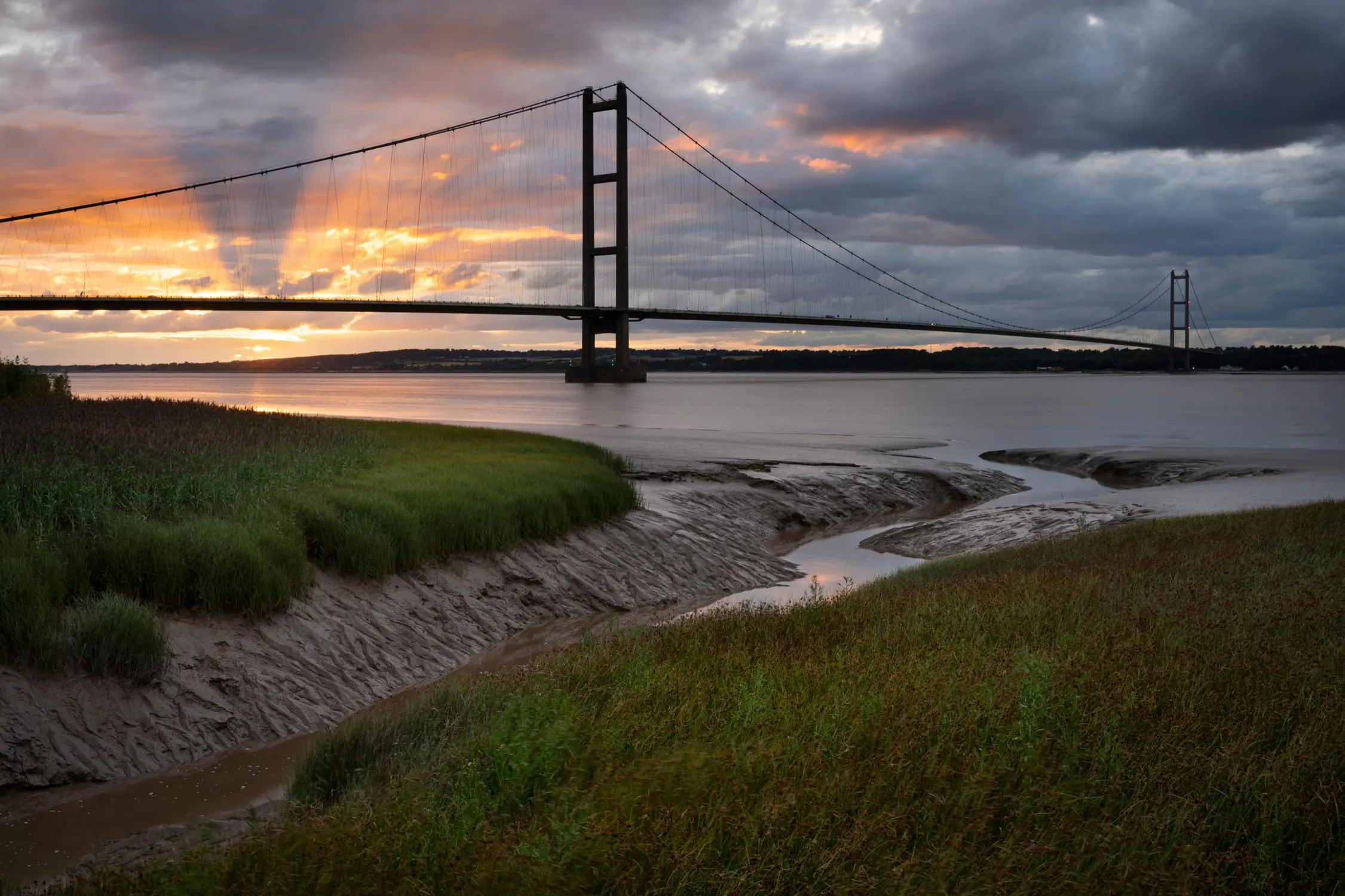 Shutterstock 1973704394 (1)