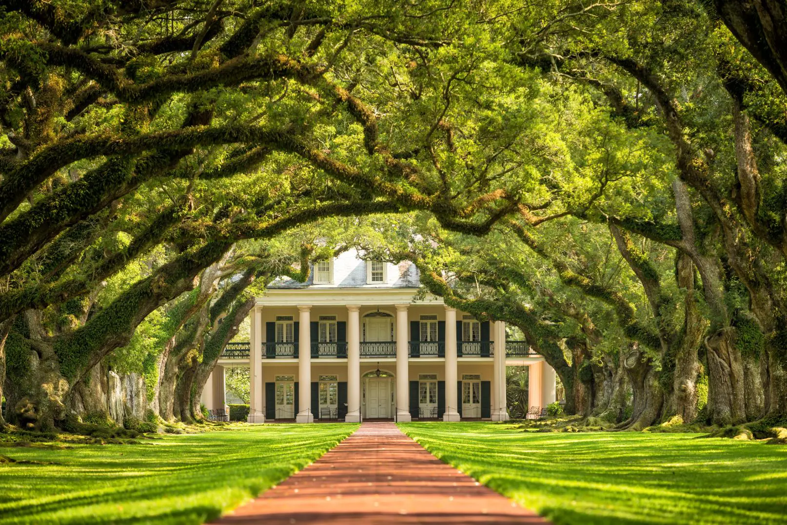 Sh 313883432 Oak Alley Plantation, Louisiana