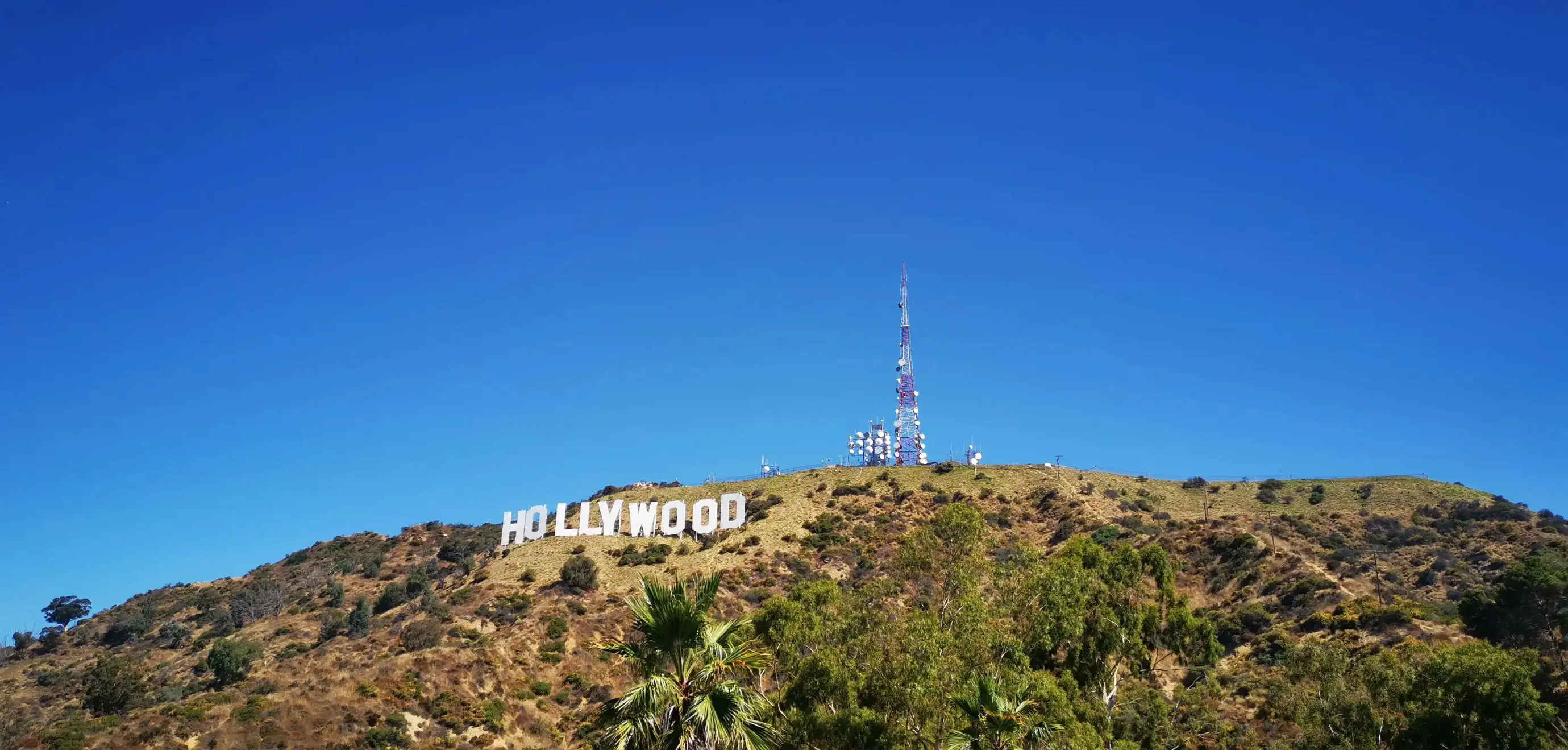 View of the iconic Hollywood sign on a hillside in Los Angeles, with clear blue sky and surrounding greenery