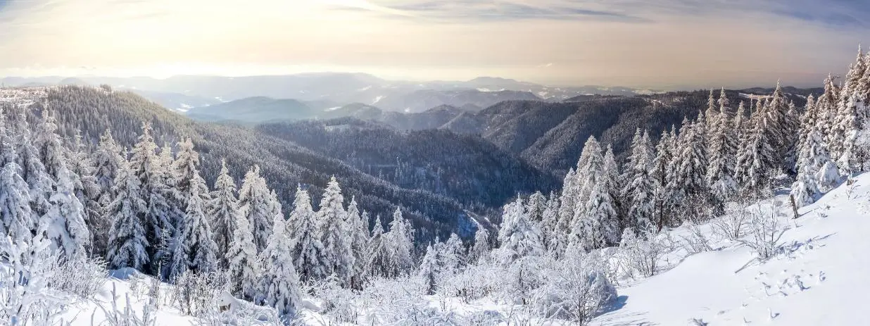 Winter Landscape In The Black Forest, Germany