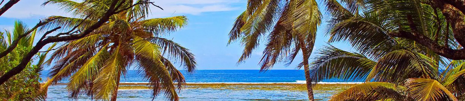 Mombasa Beach in Kenya with soft white sand, clear turquoise waters, and gentle waves, framed by palm trees and a bright blue sky