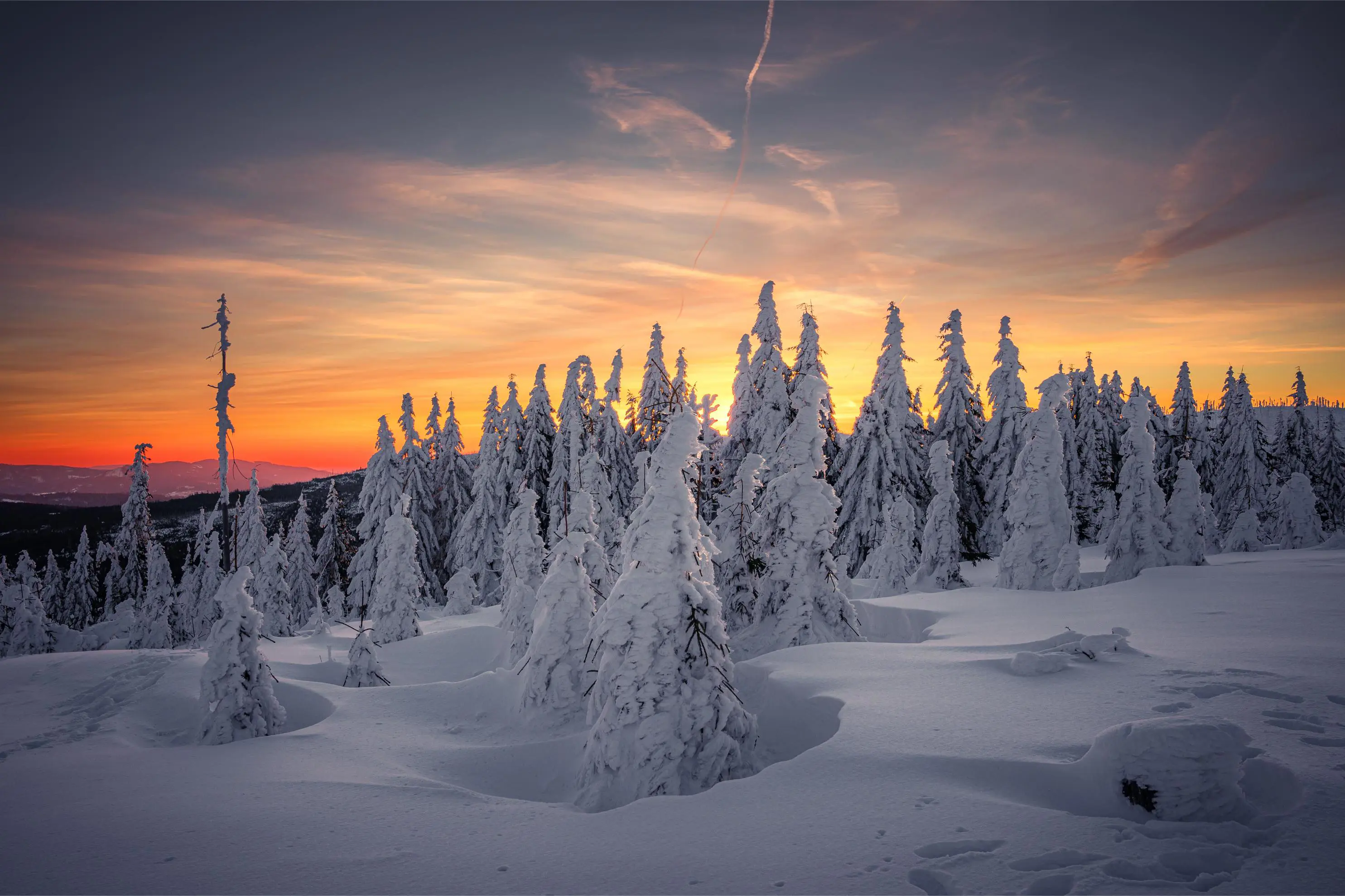 Winter scene, Bavarian Forest, Germany