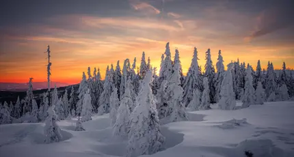 Winter scene, Bavarian Forest, Germany