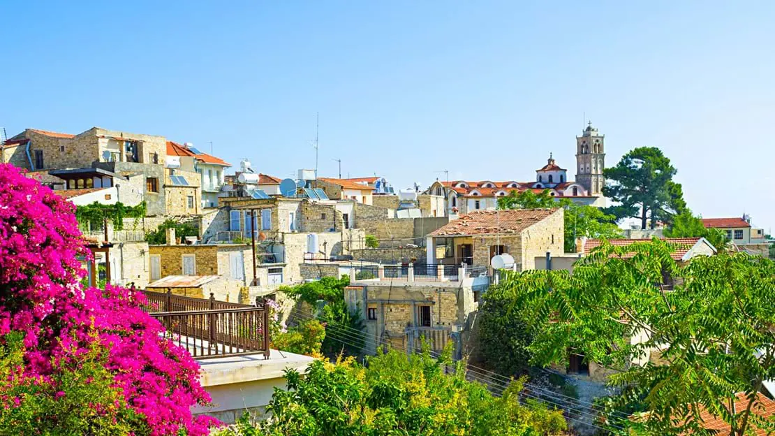 View of bricked houses with flat roofs on a hill, with bright pink flowers in the left forefront and green trees along the centre forefront to the right. In the distance to the right, two more trees in front of  the tower of a church, in front of a blue sky.