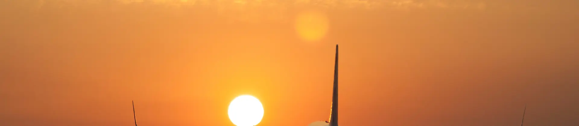 Airplane landing at sunset 