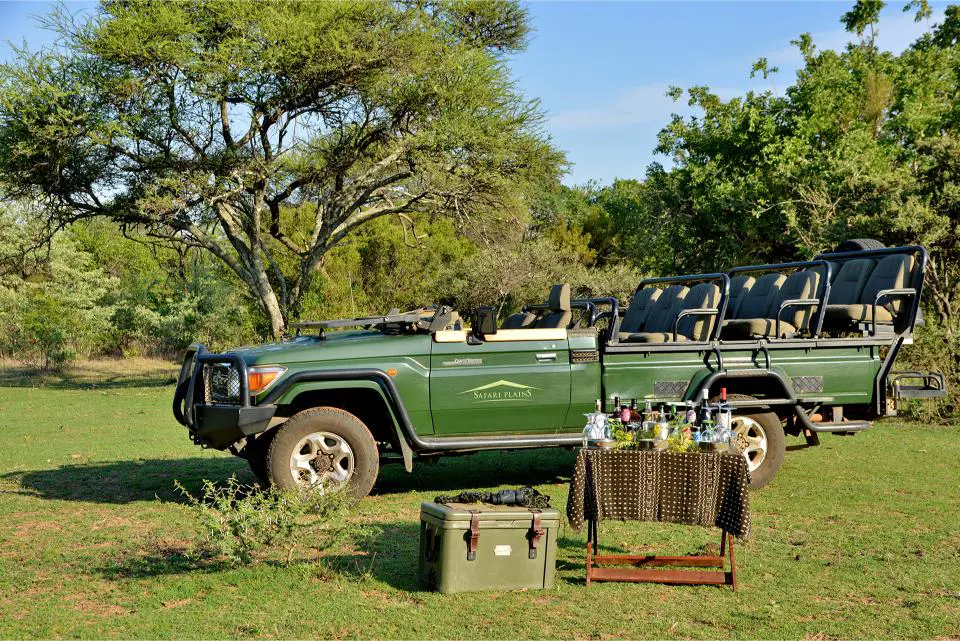 10. Signature Safari Plains Safari Sunset Stop