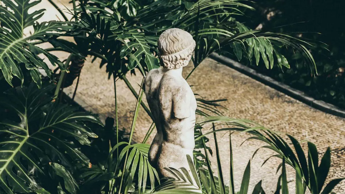 The Museum Of Fine Arts Boston