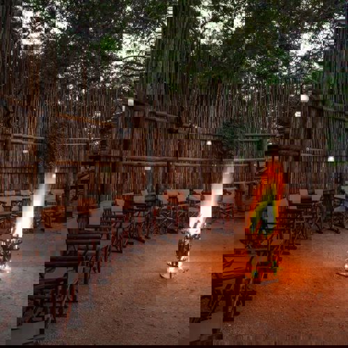 Camp Bethel, South Africa