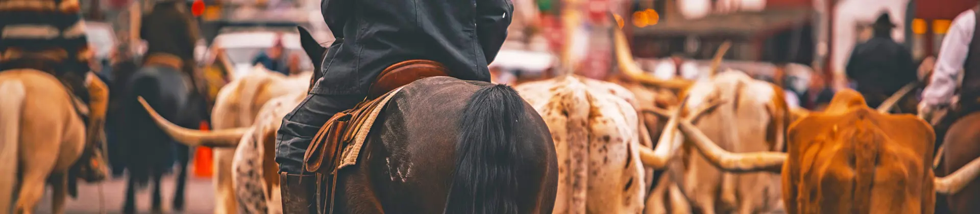 Stockyards Cattle Drive