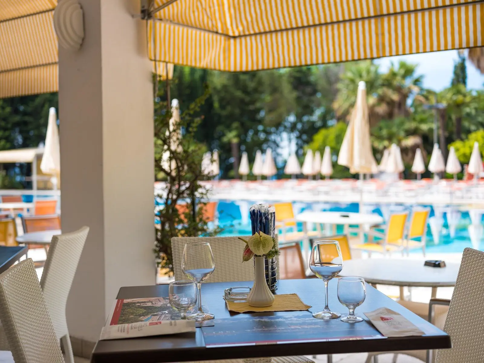 1C6b34de 2Ed5 4B7c Bbd6 87Ba70fc739b