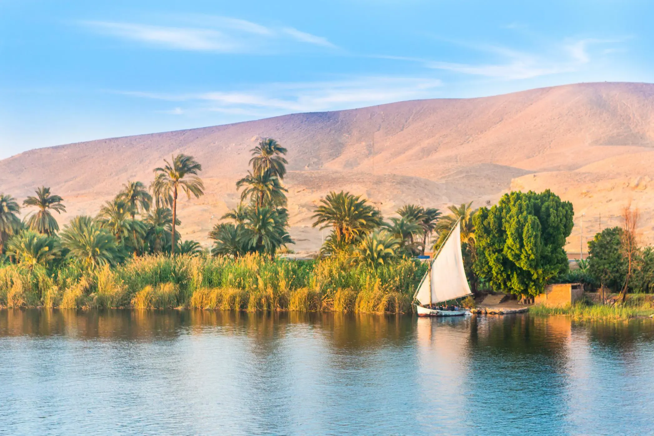 Traditional sailboat moored along the lush banks of the River Nile in Egypt, with tall palm trees and greenery in the foreground, and golden desert hills rising in the background under a blue sky