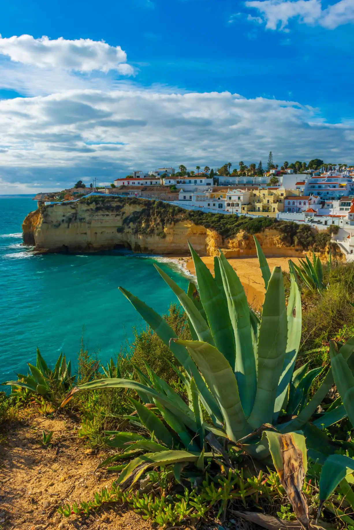 Cactus on the rugged coastline of Faro on the Algarve, with a beach cove and traditional white and yellow Portuguese houses perched above