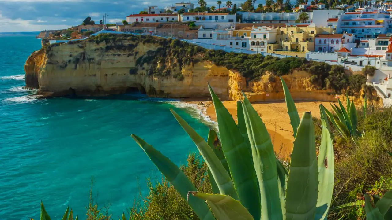 Cactus on the rugged coastline of Faro on the Algarve, with a beach cove and traditional white and yellow Portuguese houses perched above