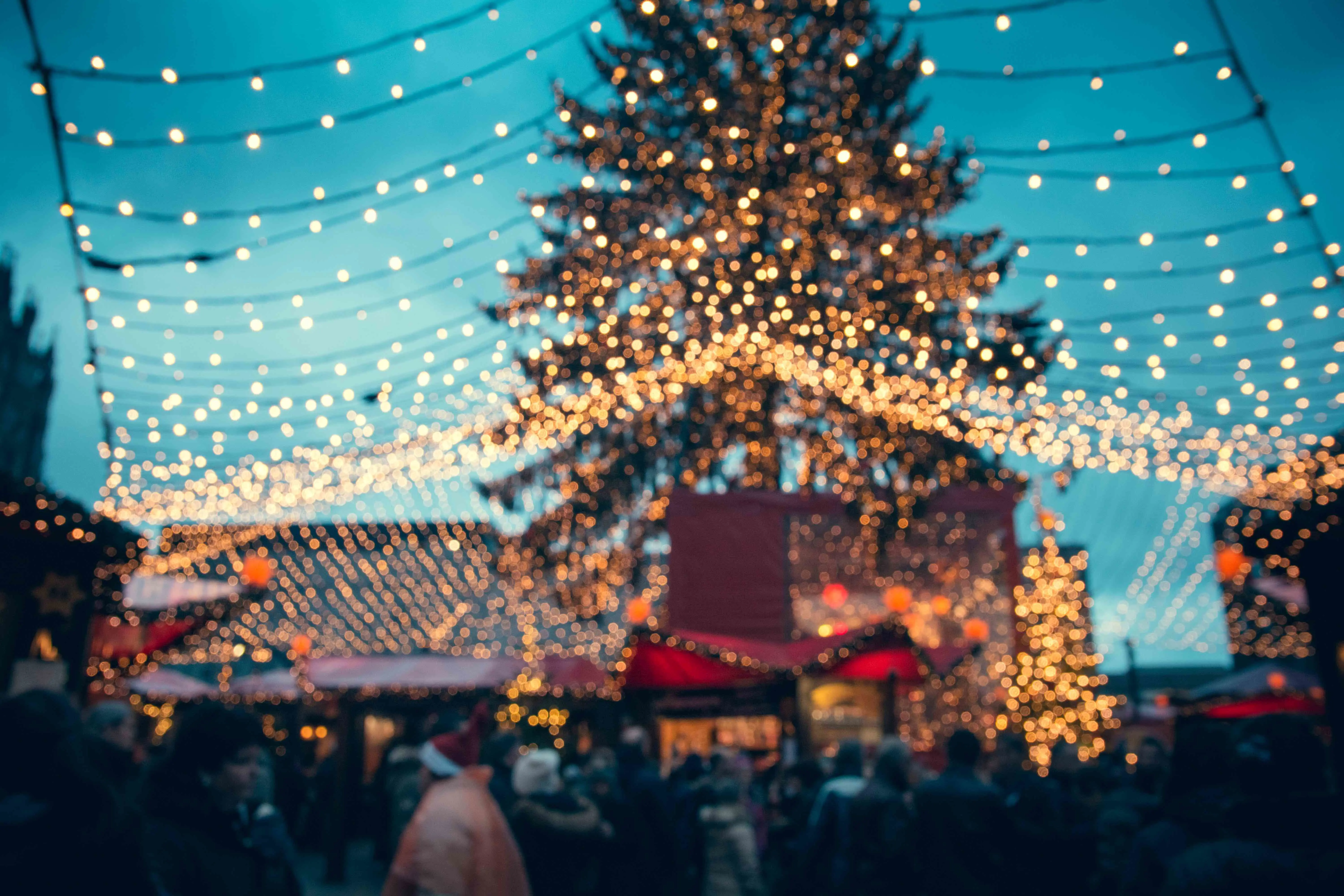 Christmas tree & fairy lights at a christmas market