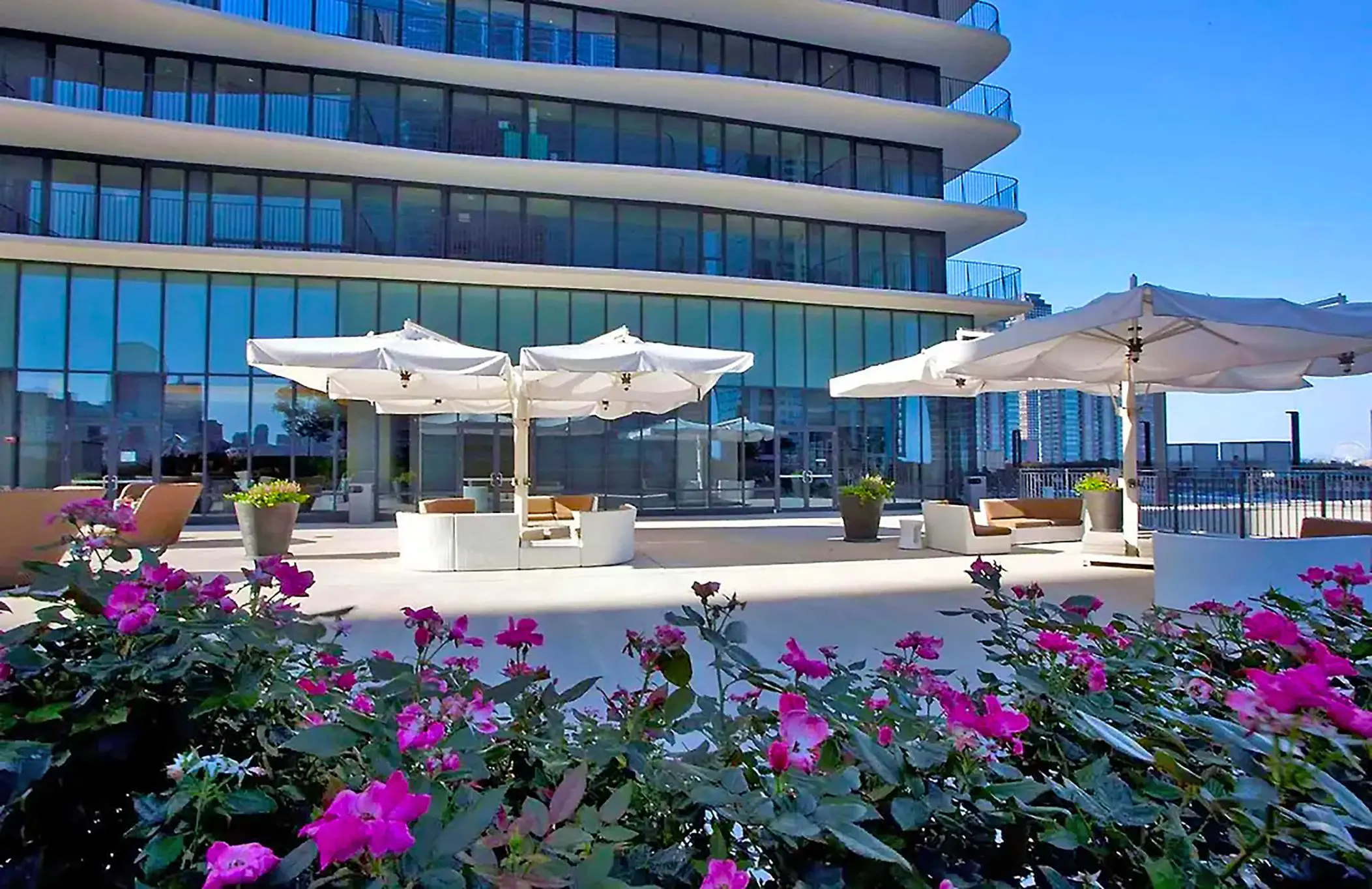 Modern terrace at Radisson Blu Aqua Hotel in Chicago, featuring lounge seating with umbrellas on the patio, and pink flowers and shrubs in the foreground