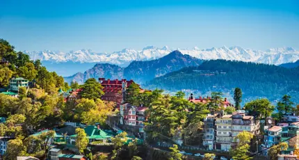 A panoramic view of Shimla, in the foothills of the Himalayas, with colourful hillside houses and pine forests set against the backdrop of snow-capped mountain peaks