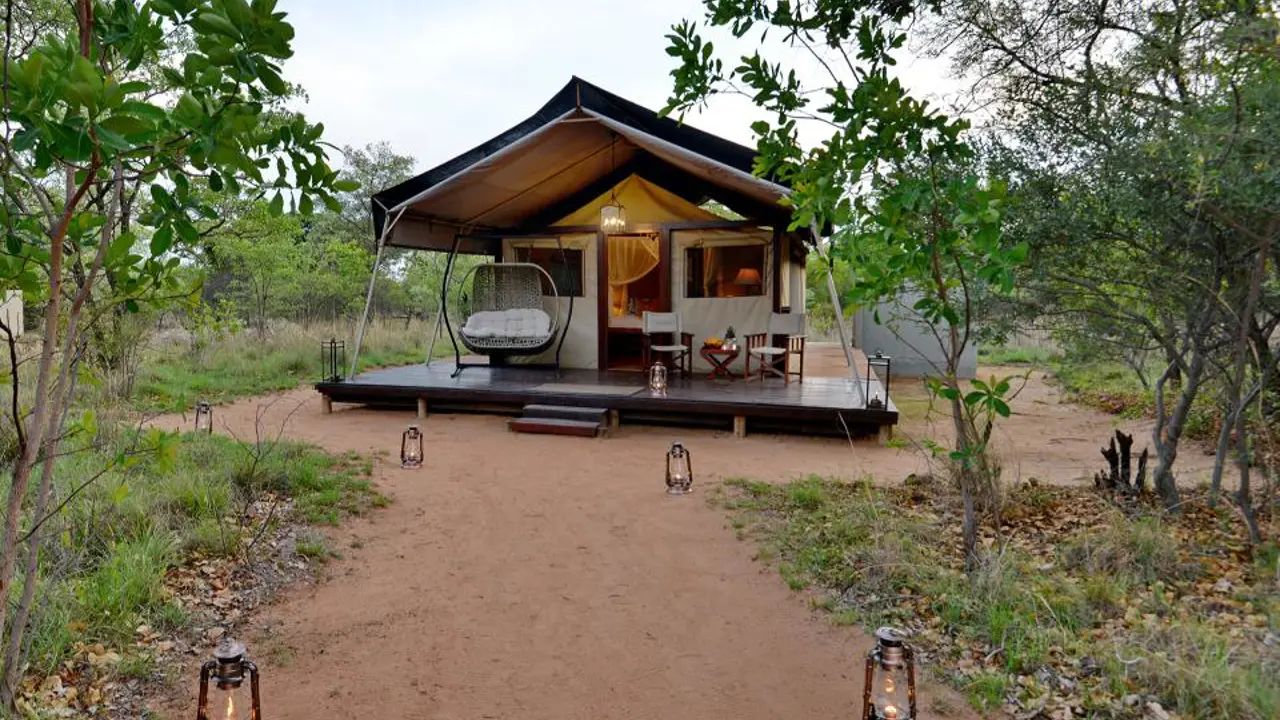 Safari Plains, Limpopo, guest tent