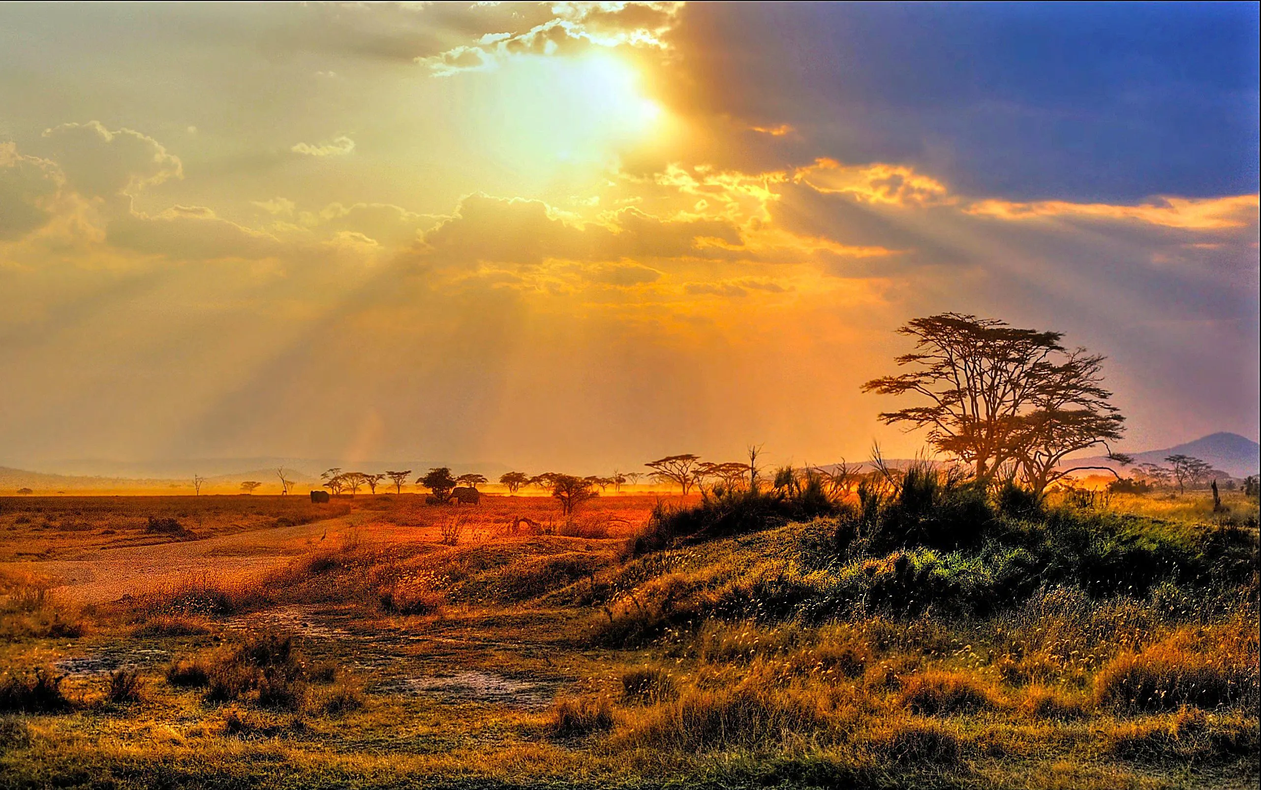 Kruger National Park