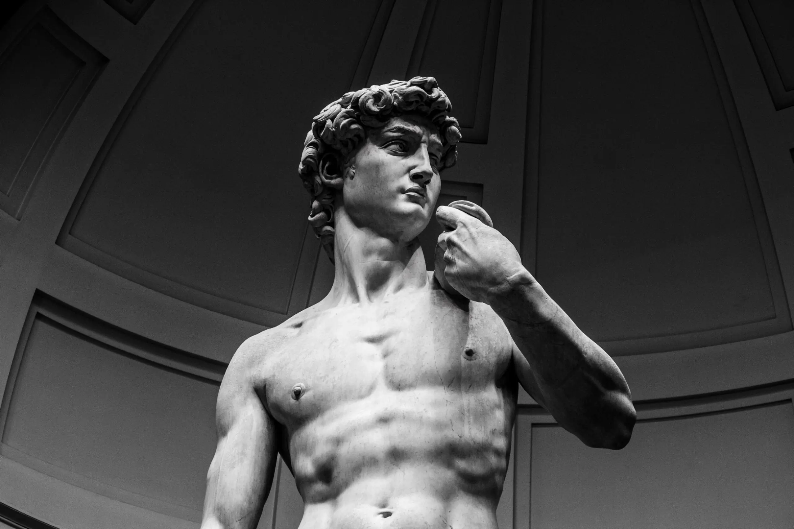 Shot of the upper half of the David of Michelangelo Statue in Florence