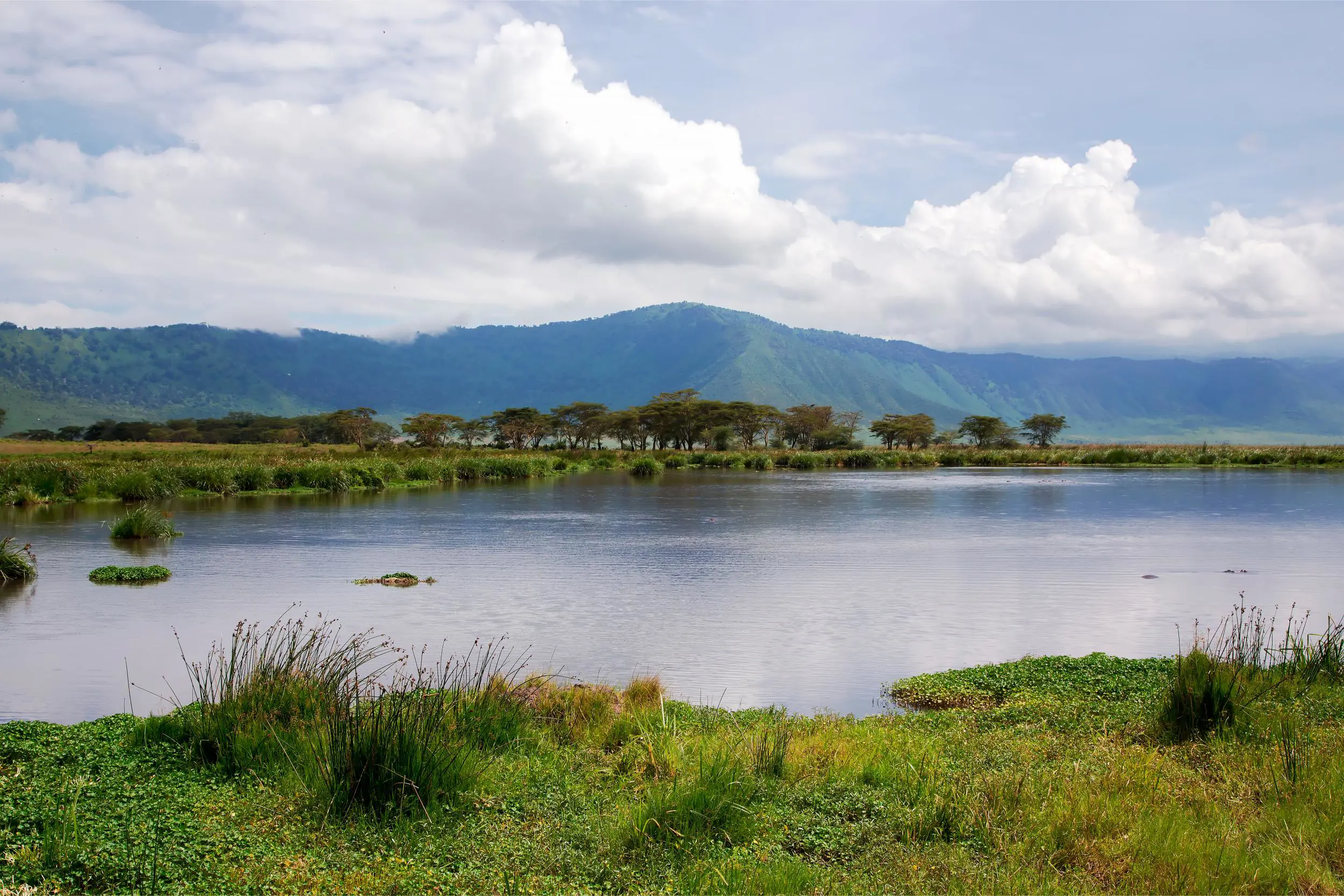 Lake Manyara, Tanzania